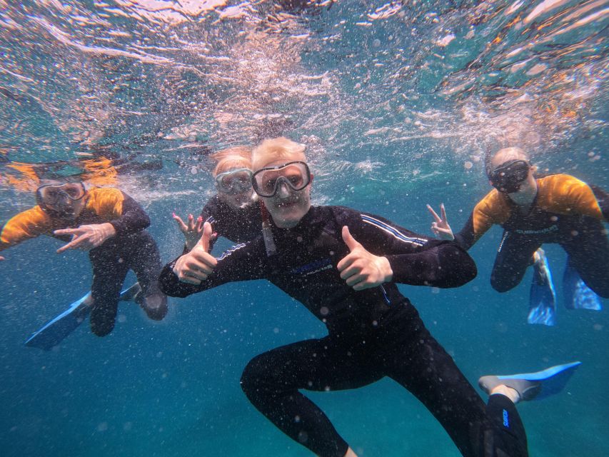 Tenerife: Puerto Colon Snorkel Safari by Speed Boat - Finding Zero Gravity Tenerife at Puerto Colón