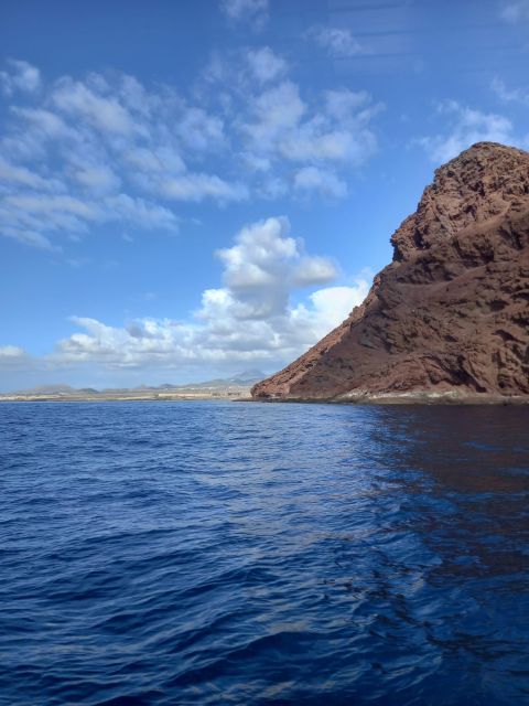 Tenerife south: safari with luxury boat , animals encounters - Is $73 a fair price?