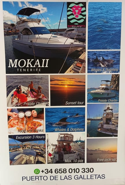 Tenerife south: safari with luxury boat , animals encounters - Starting in Las Galletas and heading to sea
