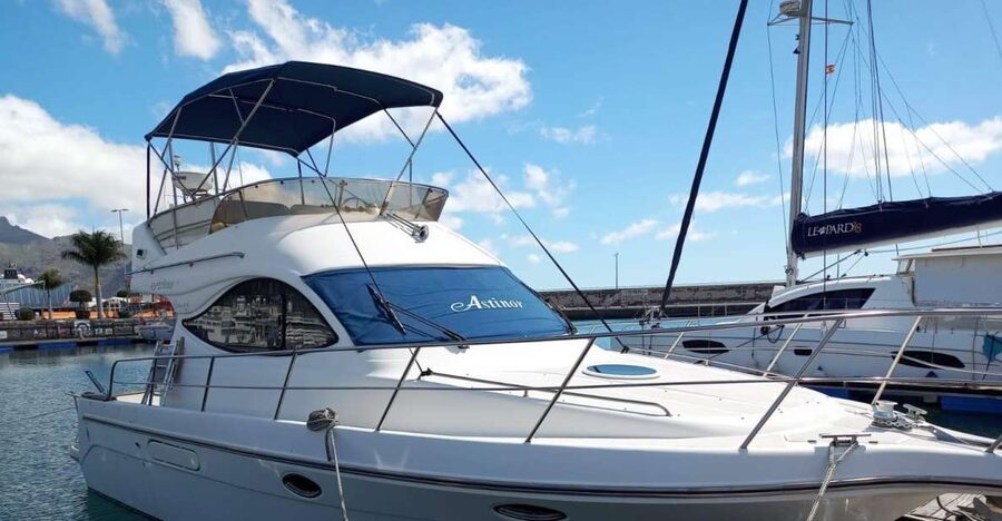 Tenerife south: safari with luxury boat , animals encounters - Looking for whales and dolphins off Tenerife
