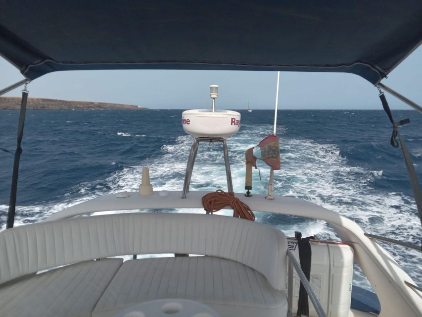 Tenerife south: safari with luxury boat , animals encounters - The return to Las Galletas