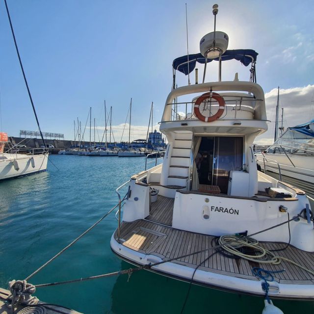 Tenerife south: safari with luxury boat , animals encounters - A two-story boat with room to settle in