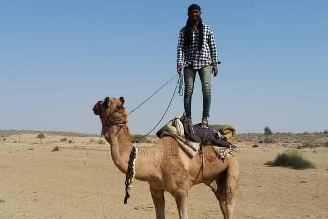 Thar Desert Camel Tour, Guide with over 25 years of experience! - Key points at a glance