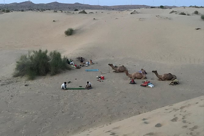 Thar Desert Camel Tour, Guide with over 25 years of experience! - Leaving Jaisalmer and visiting the desert village