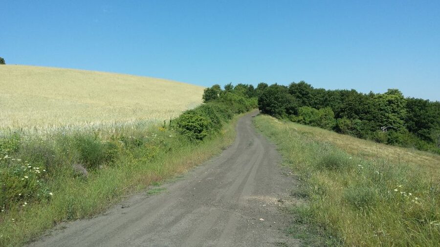 Thessaloniki: Private Mountain and Beaches SUV Safari - A short walk to a small waterfall