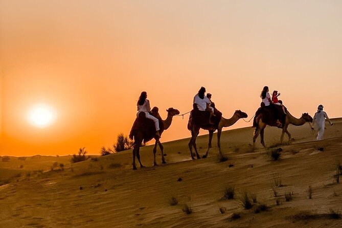Thrilling 4-Hour Dune Bashing & Camel Ride Safari to Inland Sea - Why this safari works well in Doha