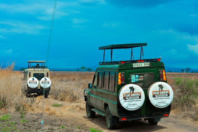 Top Best 5 Days Tanzania Luxury Safari to Serengeti - Day 2: Entering the Serengeti through Ngorongoro