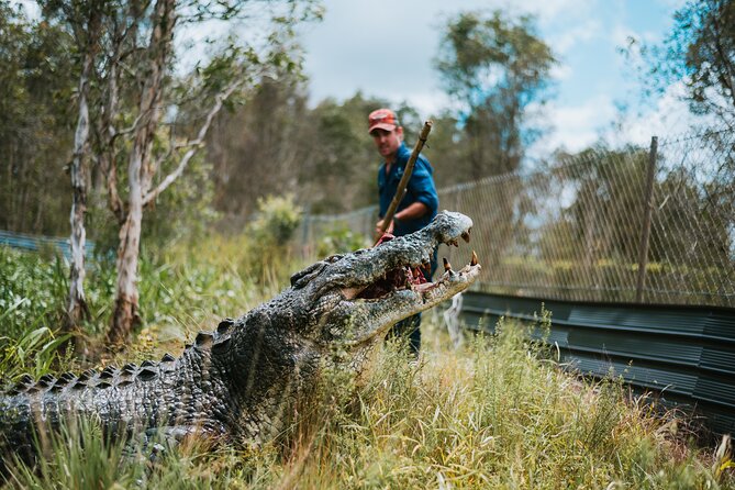 Top End Safari Camp Day Tour - Swimming, drinks, and the end of the day