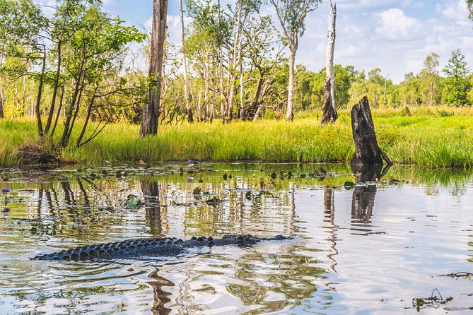 Top End Safari Camp Overnight Tour - Billabong cruise and a camp-style cheeseboard