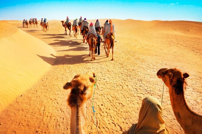 Tranquil Sands A Serene Desert Safari Experience - Riding the Sealine dunes beside the Gulf