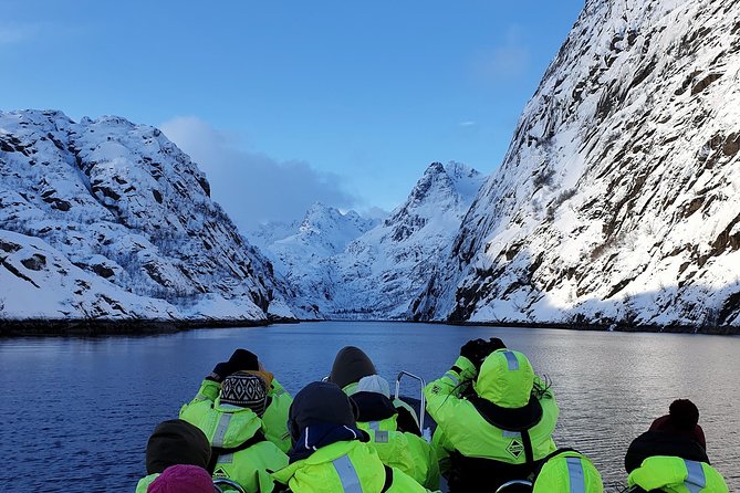 Trollfjord and Sea Eagle Safari Tour from Svolvaer - Key points at a glance