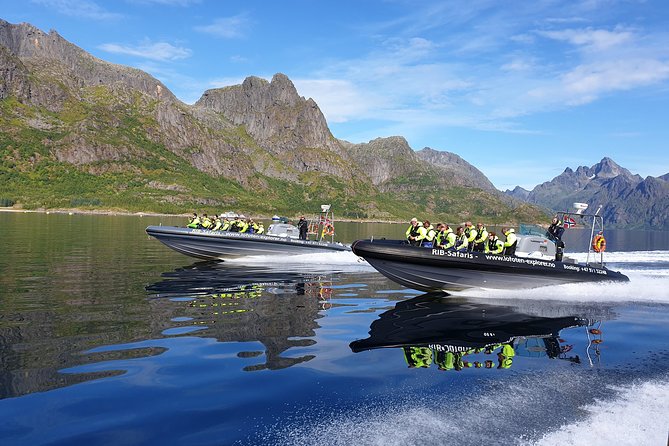 Trollfjord and Sea Eagle Safari Tour from Svolvaer - Meeting the white-tailed sea eagles