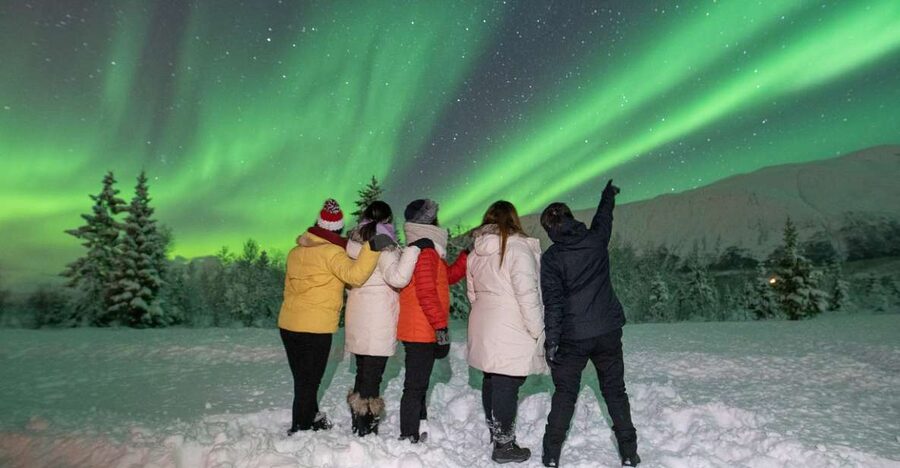 Tromsø: Aurora Safari Chase with Photos - Hot soup, stew, and useful Arctic fuel