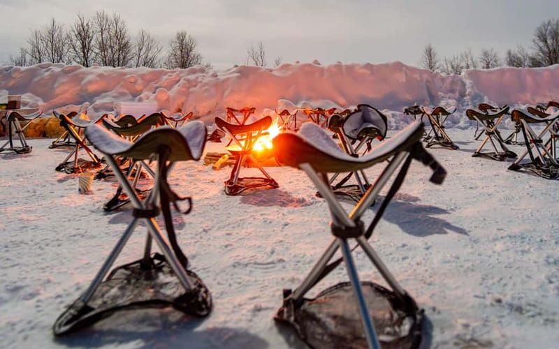 Tromsø: Northern Lights Safari with Expert Guides and Photos - Key points before you book