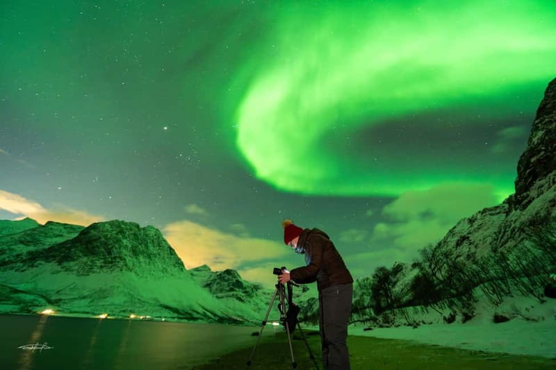 Tromsø: Northern Lights Safari with Expert Guides and Photos - Seeing the Northern Lights in person