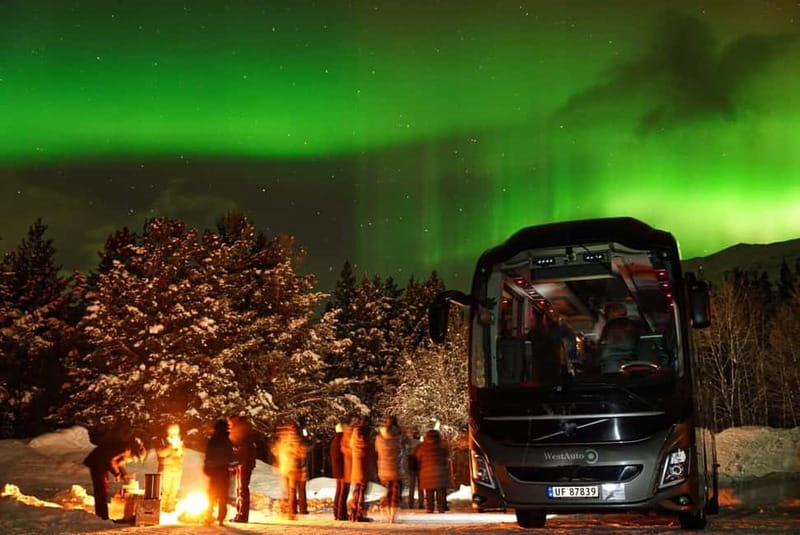 Tromsø: Northern Lights Safari with Expert Guides and Photos - Photos and help with your own camera