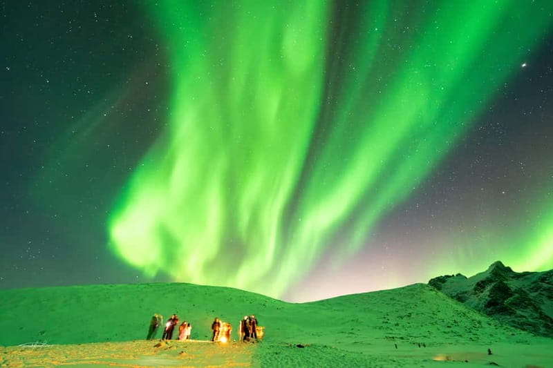 Tromsø: Northern Lights Safari with Expert Guides and Photos - Price and value at $61
