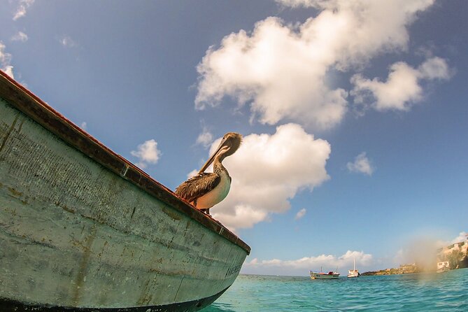 Turtle Swim at TurtleBay visit Flamingos & KnipBeach Safari Truck - Food, drinks, and what you should pack