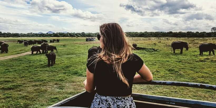 Udawalawe: National Park Safari & Elephant Transit Home Tour - Five things to know before you go