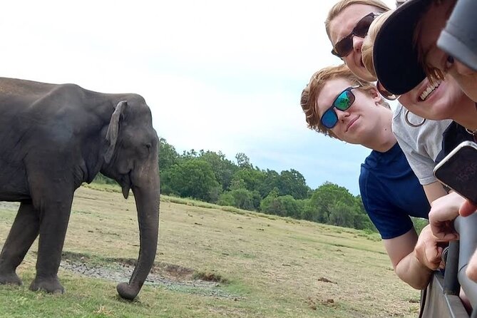 Udawalawe Safari Adventure - Why Udawalawe is a strong safari choice