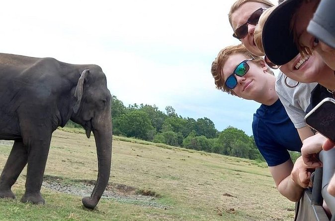 Udawalawe Safari Adventure - Who will enjoy this safari most