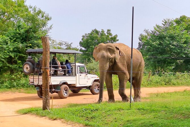 Udawalawe Safari - Private & Customize Tour - The extra park fee you must budget for