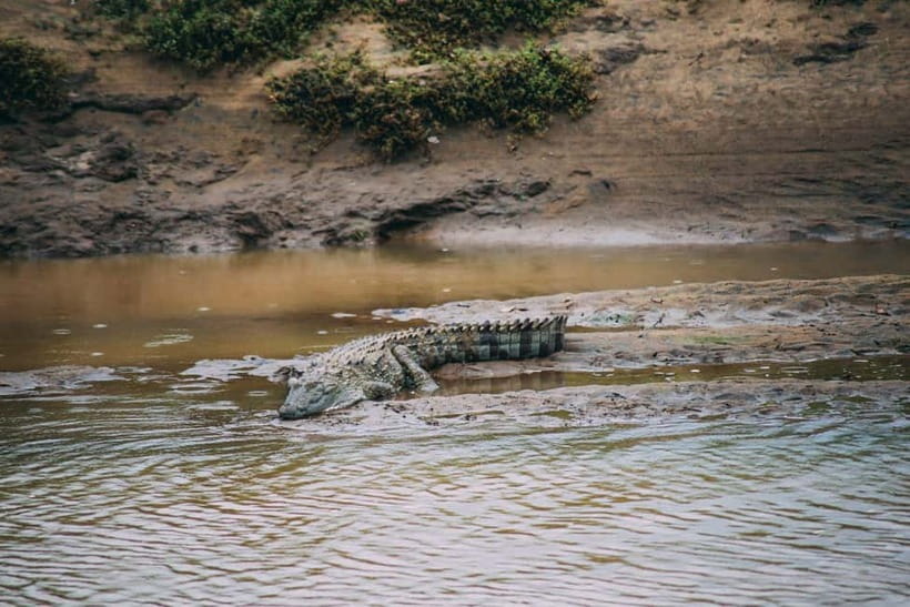 Udawalawe Safari Private Day Trip with Lunch - All Inclusive - Booking flexibility and practical details