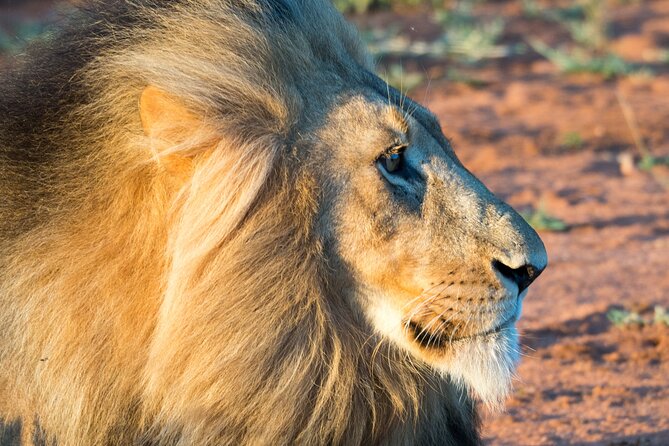 Unforgettable 4 Days Tanzania Private Budget Safari Tour - Is $1,721 per person good value?