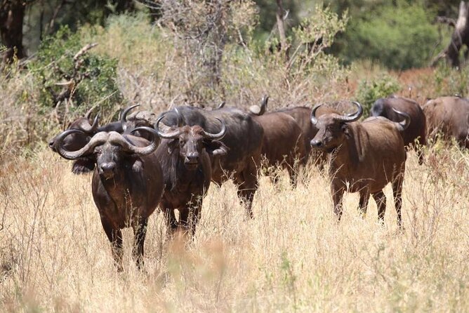 Unforgettable Tanzania Safari And Zanzibar Beach - Days 9 to 11: Three days to slow down on Zanzibar