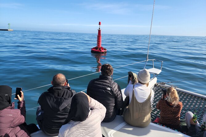 V&A Waterfront Marine Big 5 Ocean Safari - My booking advice