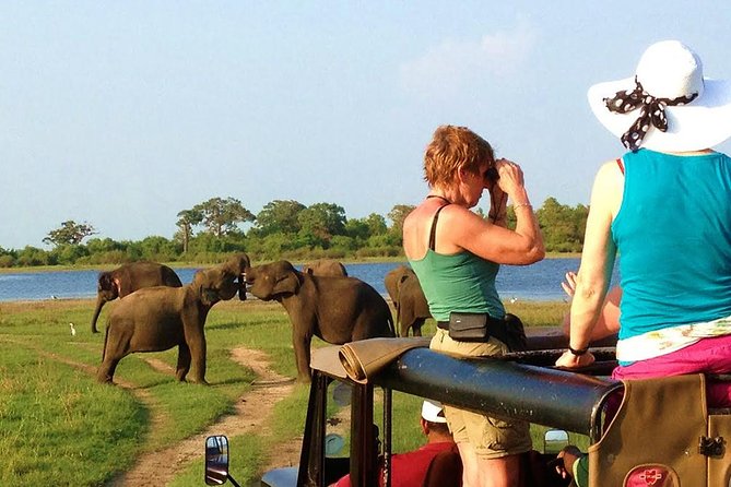 VALUE PACK! One Day Safari Tour to Yala and Udawalawa Parks - Five Hours in Yala National Park