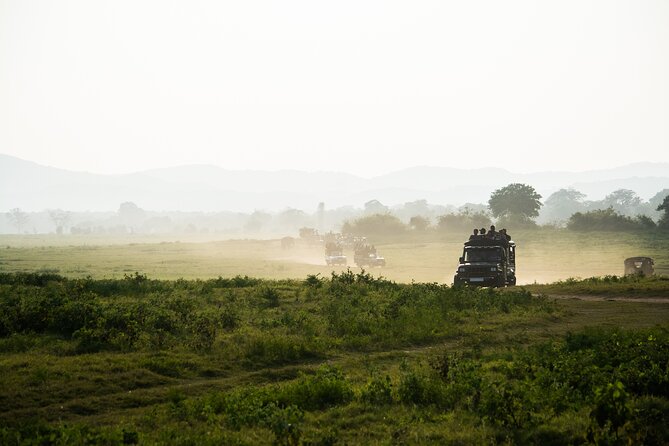 VALUE PACK! One Day Safari Tour to Yala and Udawalawa Parks - Picnic Lunch and the Midday Transfer