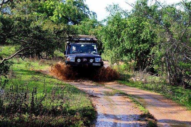 VALUE PACK! One Day Safari Tour to Yala and Udawalawa Parks - The Elephant Transit Home Visit