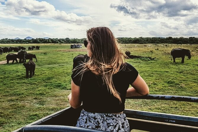 VALUE PACK! One Day Safari Tour to Yala and Udawalawa Parks - What the $100 Price Really Buys