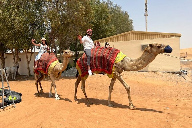 Vip Desert Safari Dubai with Camel Riding BBQ Dinner & Live Shows - Who should choose this experience?