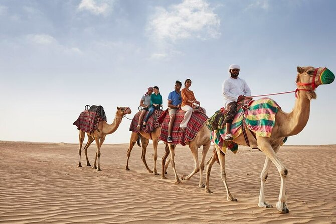 VIP Dubai Sunset Desert Safari: Camel Ride, BBQ, Unlimited Spirit - Is $239 good value?