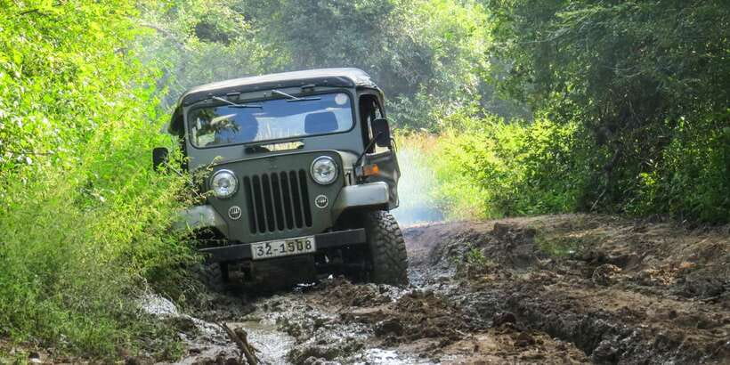 Wasgamuwa: Wasgamuwa National Park Private 3-Hour Safari - Three hours among dry forest, pools, and open views