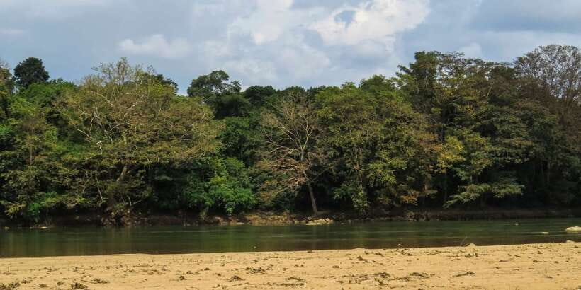 Wasgamuwa: Wasgamuwa National Park Private 3-Hour Safari - What else you might see beyond elephants