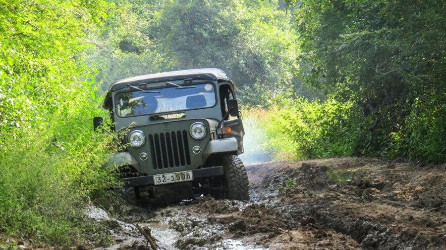 Wasgamuwa: Wasgamuwa National Park Private 3-Hour Safari - Is $27 per person good value?