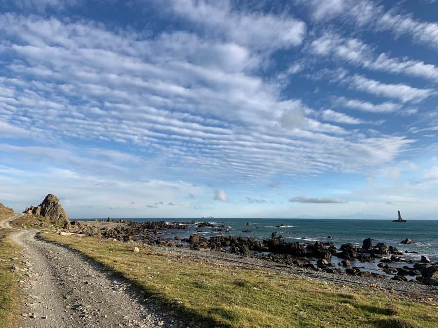 Wellington: Half Day Seal Coast Safari - Is $116 good value for 210 minutes?