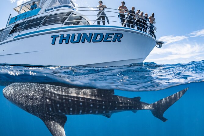 Whale Shark Safari - The Coral Gardens Make a Strong First Stop