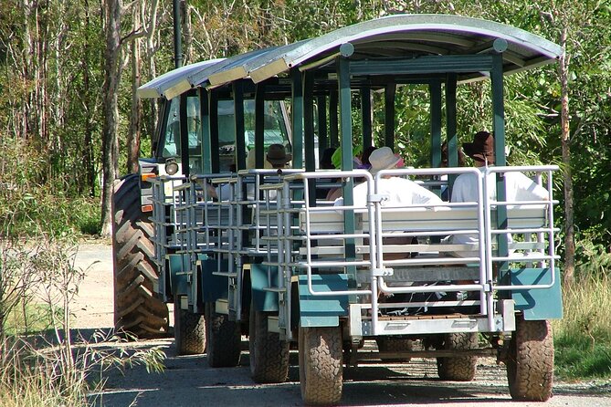 Whitsunday Crocodile Safari - Key points to know before you book