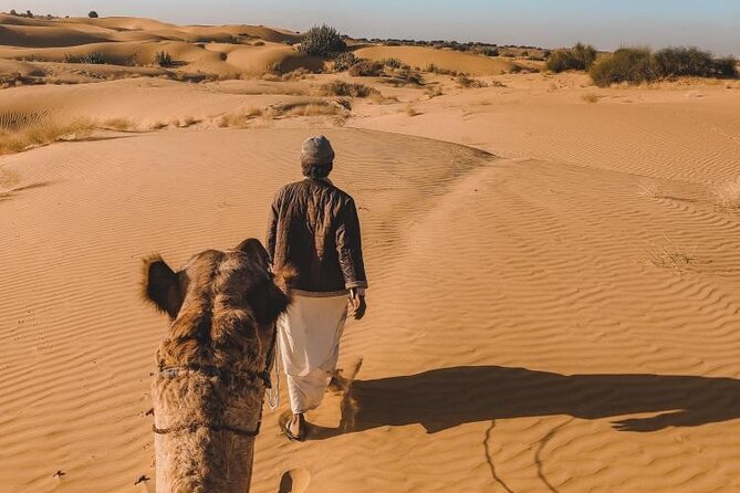 Wild Desert Overnight Safari - Why this desert night is different from standard Jaisalmer sightseeing