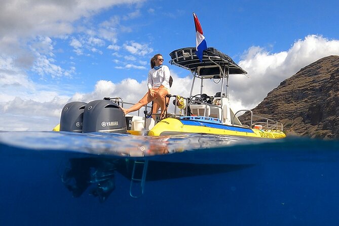 Wild Dolphin Watching and Snorkel Safari Off West Coast of Oahu - Key points to know before booking