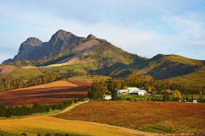 Wine Beer and Biltong Safari - Stellenbosch - Why this Stellenbosch day works so well