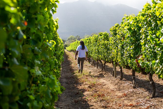 Wine Beer and Biltong Safari - Stellenbosch - A South African braai in the middle of the day