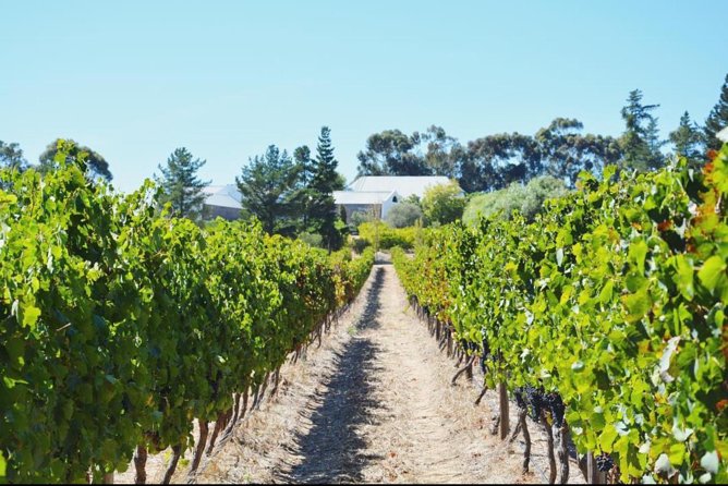 Wine Beer and Biltong Safari - Stellenbosch - A small group with a real social advantage
