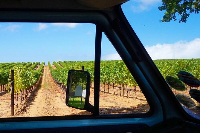 Wine Beer and Biltong Safari - Stellenbosch - What the seven-hour pace feels like