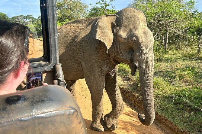 Yala 4h Jeep Safari: Guided Wildlife Experience (All Inclusive) - Food, water, and the practical details