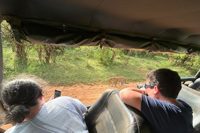 Yala 4h Jeep Safari: Guided Wildlife Experience (All Inclusive) - How the $172 price works for you
